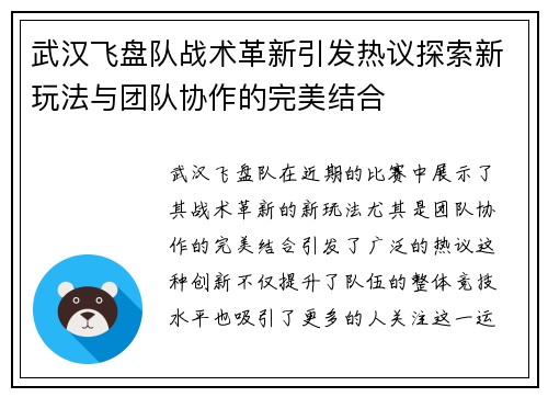 武汉飞盘队战术革新引发热议探索新玩法与团队协作的完美结合